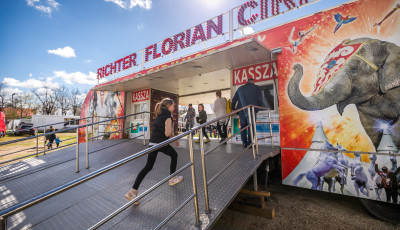 2,5 m&eacute;teres f&eacute;mr&uacute;d csap&oacute;dott a n&eacute;zők k&ouml;z&eacute; a Richter Fl&oacute;ri&aacute;n Cirkusz egyik dun&aacute;nt&uacute;li előad&aacute;s&aacute;n