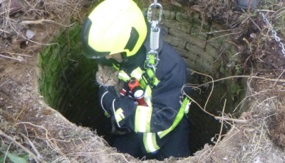 15 m&eacute;ter m&eacute;ly k&uacute;tba esett egy macska Pusztakov&aacute;csiban &ndash; a tűzolt&oacute;k s&eacute;rtetlen&uuml;l mentett&eacute;k ki