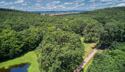 Elindult a szavaz&aacute;s a 2025-&ouml;s &Eacute;v Erdei Ker&eacute;kp&aacute;r&uacute;tja versenyben - Egy somogyi is van a jel&ouml;ltek k&ouml;z&ouml;tt