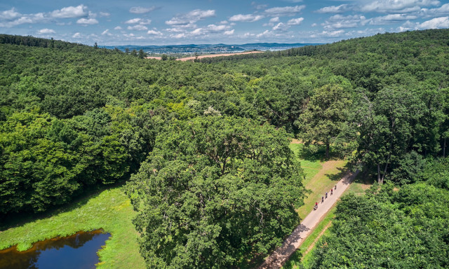 Elindult a szavaz&aacute;s a 2025-&ouml;s &Eacute;v Erdei Ker&eacute;kp&aacute;r&uacute;tja versenyben - Egy somogyi is van a jel&ouml;ltek k&ouml;z&ouml;tt