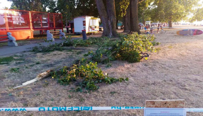 R&aacute;szakadt egy fa&aacute;g egy strandol&oacute;ra a balatonlellei strandon