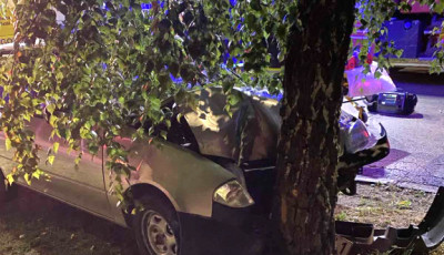 F&aacute;nak csap&oacute;dott egy ittas sofőr Si&oacute;fokon, mentők vitt&eacute;k el