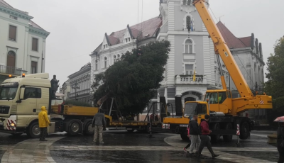 Nyakunkon a kar&aacute;csony! - Meg&eacute;rkezett a v&aacute;ros kar&aacute;csonyf&aacute;ja!