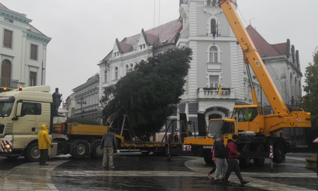 Nyakunkon a kar&aacute;csony! - Meg&eacute;rkezett a v&aacute;ros kar&aacute;csonyf&aacute;ja!