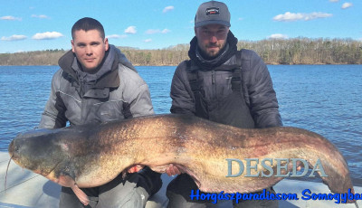 Kapit&aacute;lis harcsafog&aacute;s a Desed&aacute;n - 180 centis ragadoz&oacute;t siker&uuml;lt kifogni