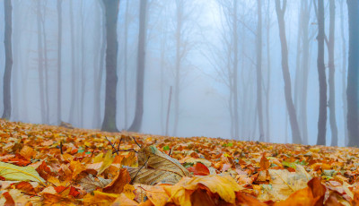 K&ouml;d&ouml;s, esős, igazi novemberi h&eacute;tv&eacute;ge v&aacute;r r&aacute;nk